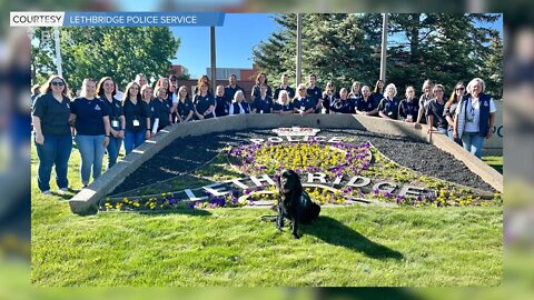 Lethbridge Victim Services Unit Celebrates 30 Year Anniversary - June 24, 2022