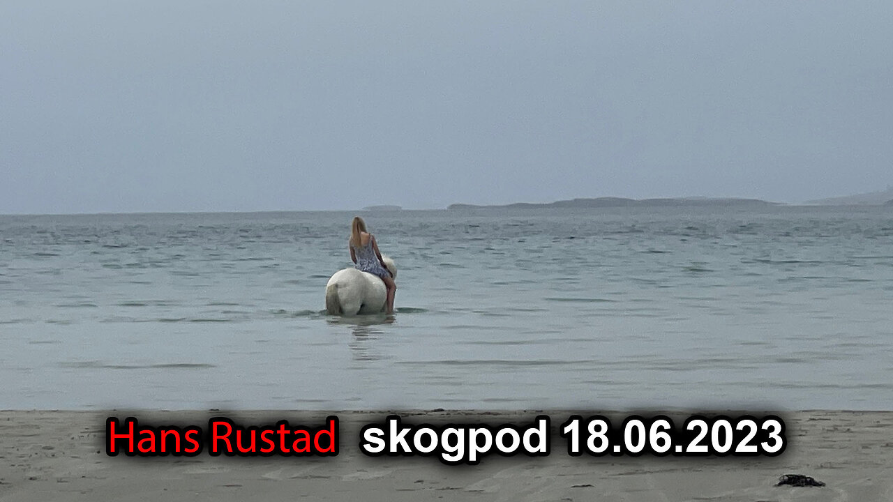 Skogpod 18. juni 2023