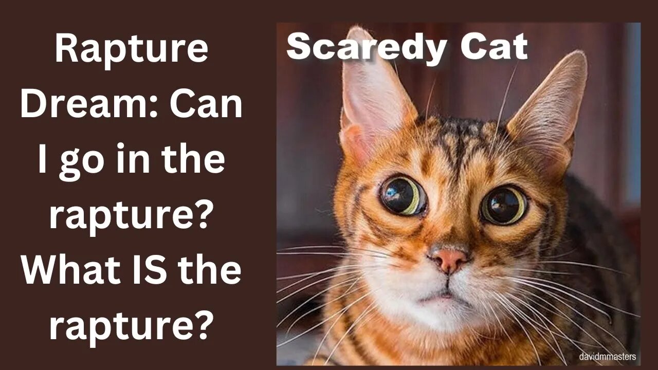 Not A Scaredy Cat! Rapture Dream Through Glass Doors-Comfort Each Other & Israeli Soldier Dream 555