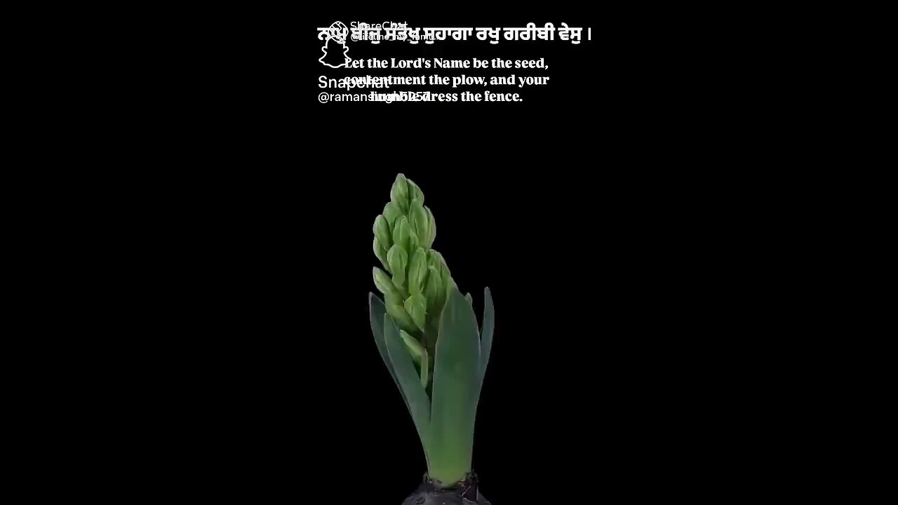 Good morning ji