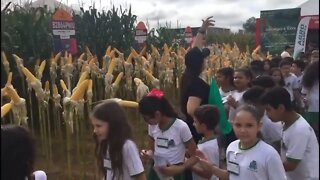 Norte Show em Sinop recebe movimento de mulheres em favor do agro.