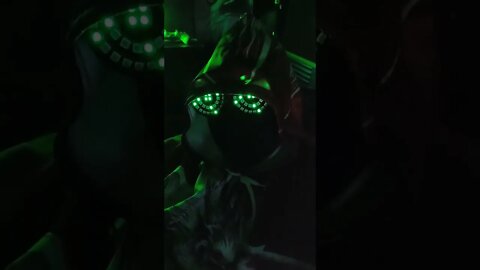 PayPal FOLDS To The RIPPAVERSE! Update On Over 1.3 Million Dollars STOLEN!