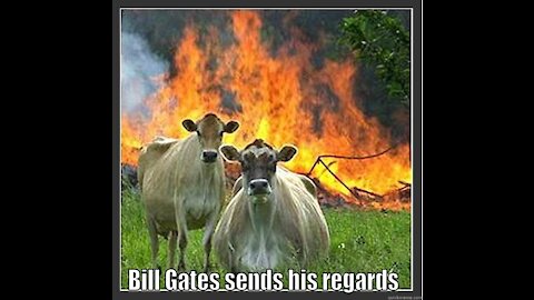 Bill Gates: Rainman Buys the World and Tries To Exterminate It