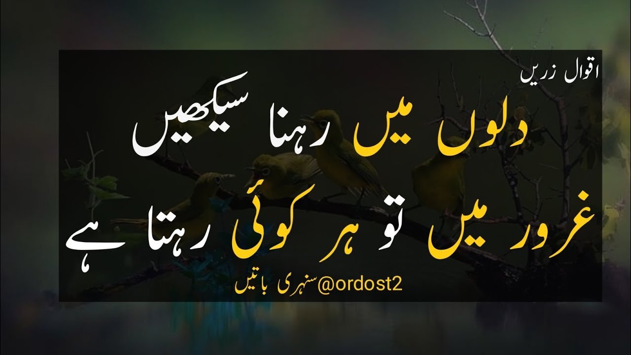 Dilo Me Rehna Sikhe | Best Collection Of Urdu Quotes | aqwal e Zareen