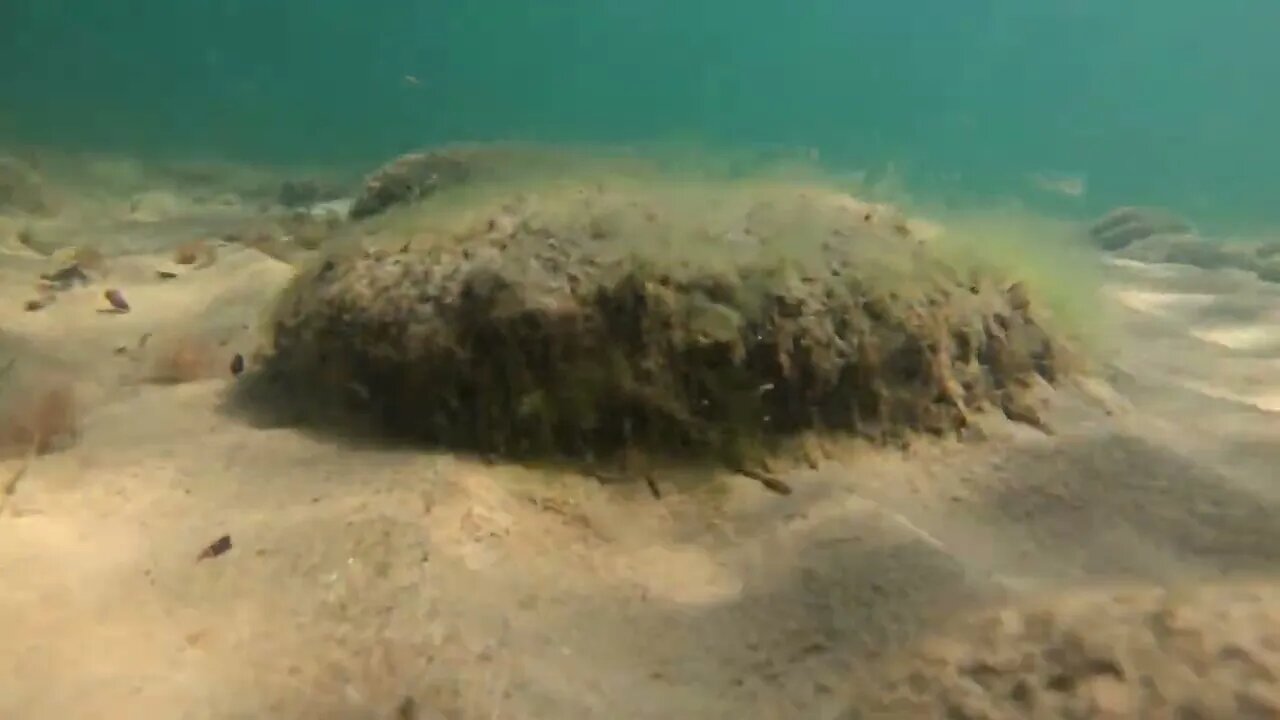 Underwater Shot Of Camera Moving Over Ocean Floor In The Blue Water