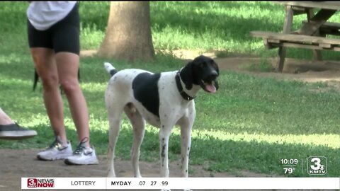 With Omaha seeing warmer temperatures, how do you keep pets safe?