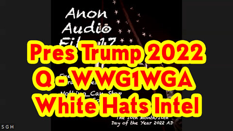 Pres Trump 2022 ~ Q - WWG1WGA - White Hats Intel 10/11/22