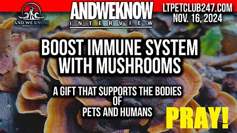 AND WE KNOW 11.16.24: Miracle MUSHROOMS for SUPPORTING the IMMUNE SYSTEM