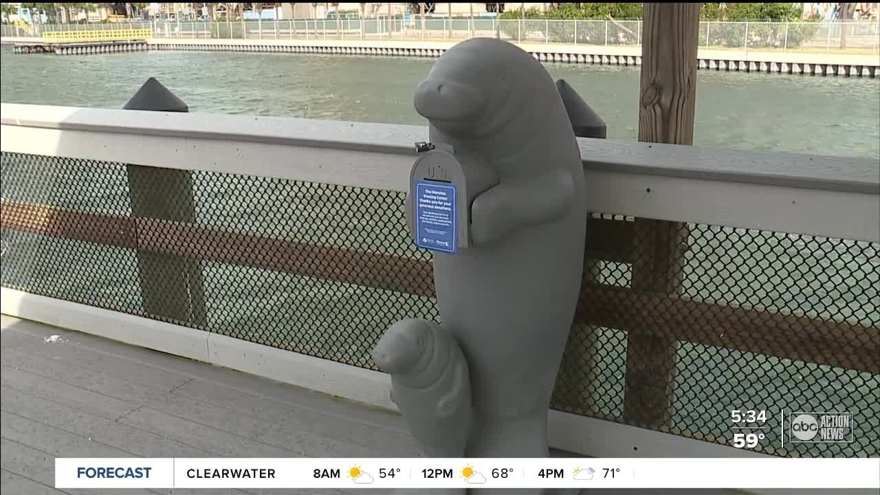 Manatee viewing center reopens