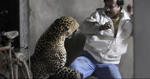 Leopard enters into school in India Karnataka