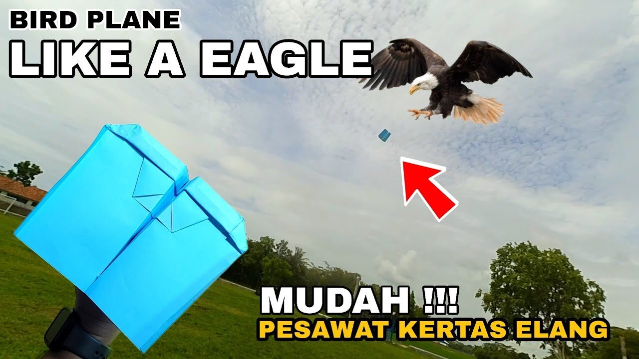 COMPETE WITH EAGLES! long & high flying paper planes - simple easy tutorial for paper planes