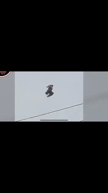 MATRIX GLITCH BIRD FROZEN IN FLIGHT ?