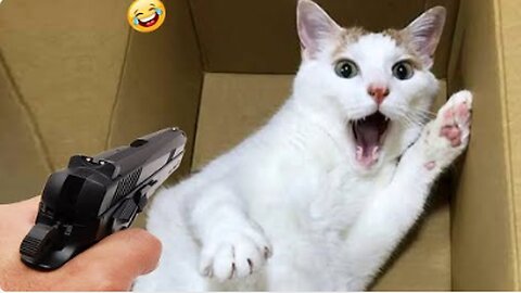 Funniest Animals 2023 😂 | Funniest Cats and Dogs | Part 22