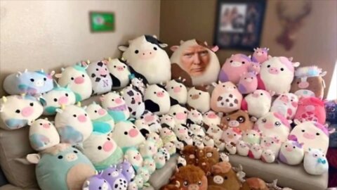 The Ultimate Donald Trump Squishmallow Meme!