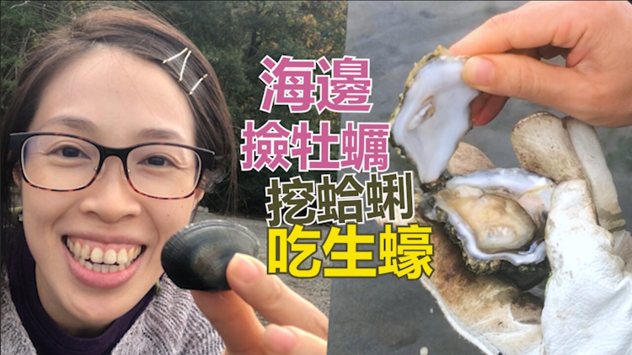 戶外探險｜華盛頓海邊撿牡蠣吃生蠔 徒手挖蛤蜊~多種蛤仔現形！不知不覺就到了捕撈上限 Clamming, Oyster Picking & Eating in Washington State Park