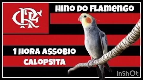 Flamengo