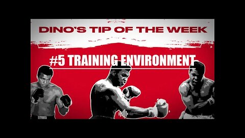 DINO'S BOXING TIPS #5 - TRAINING ENVIRONMENT