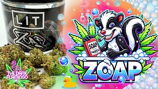 Trying Zoap THCa from Lit Farms! The Dank Flamingo Cannabis Review!!