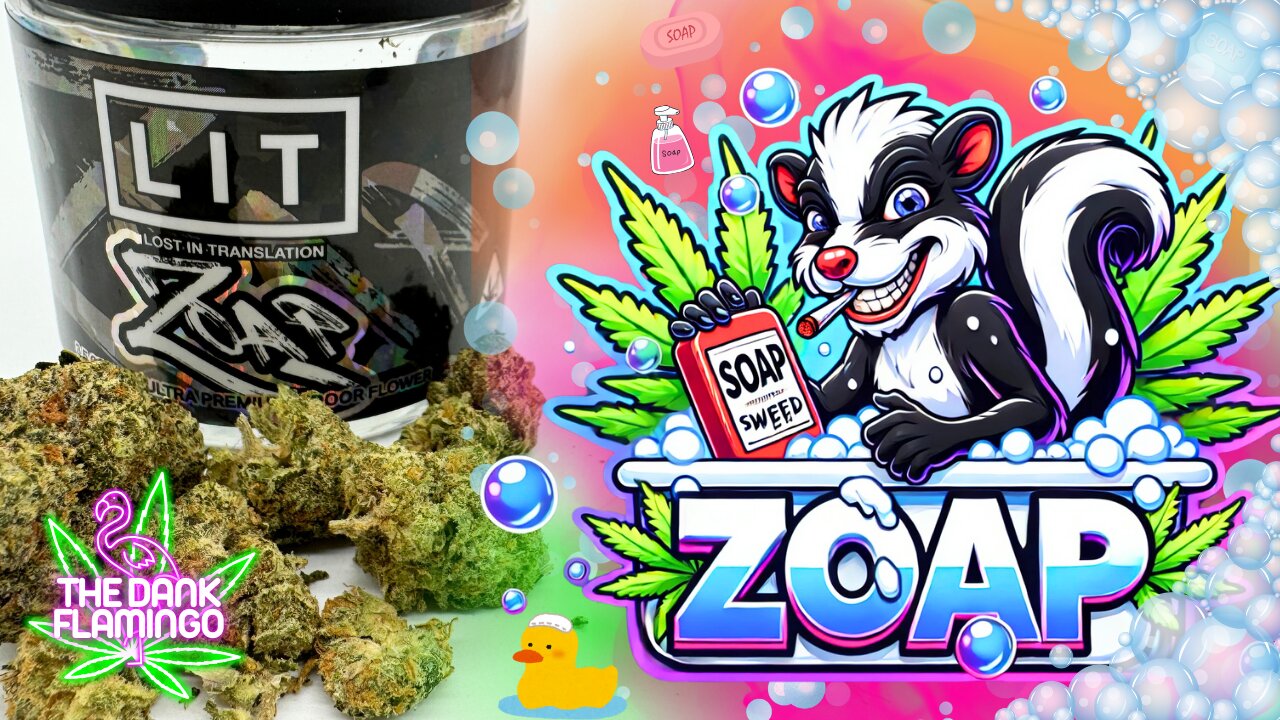 Trying Zoap THCa from Lit Farms! The Dank Flamingo Cannabis Review!!