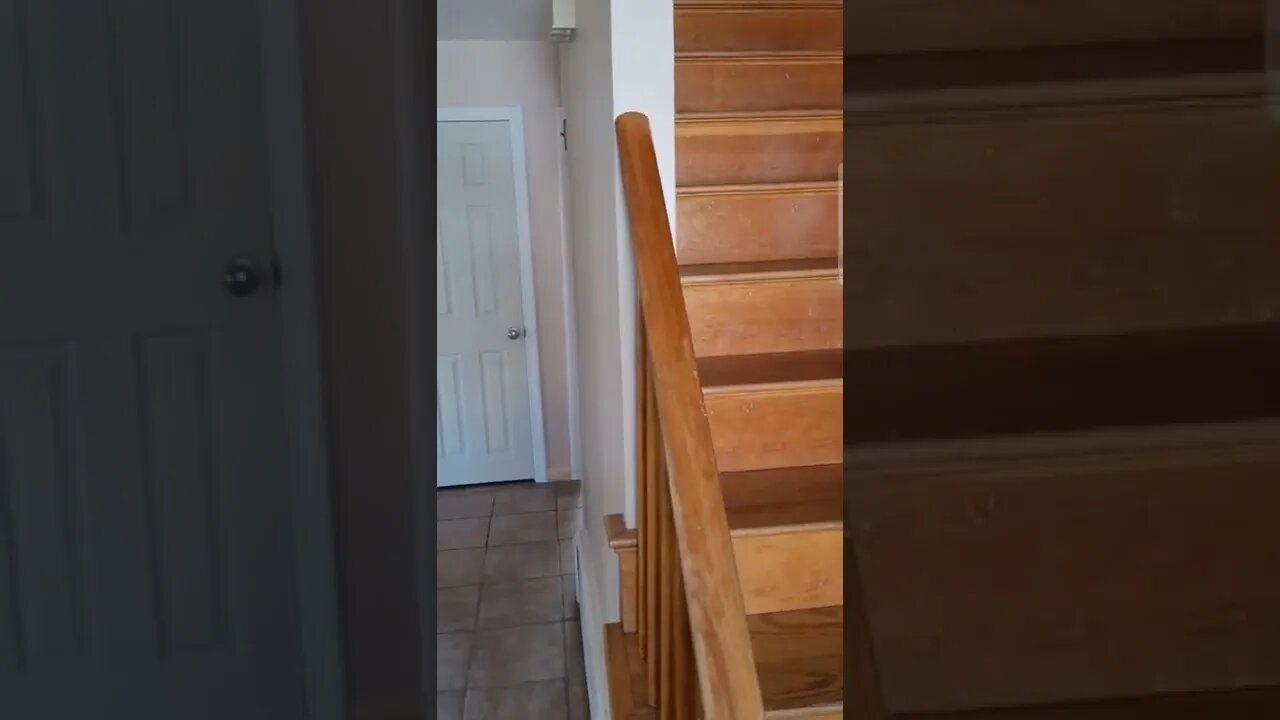 Saying Goodbye to the House, People, and Pets You've Live With for 60 Years