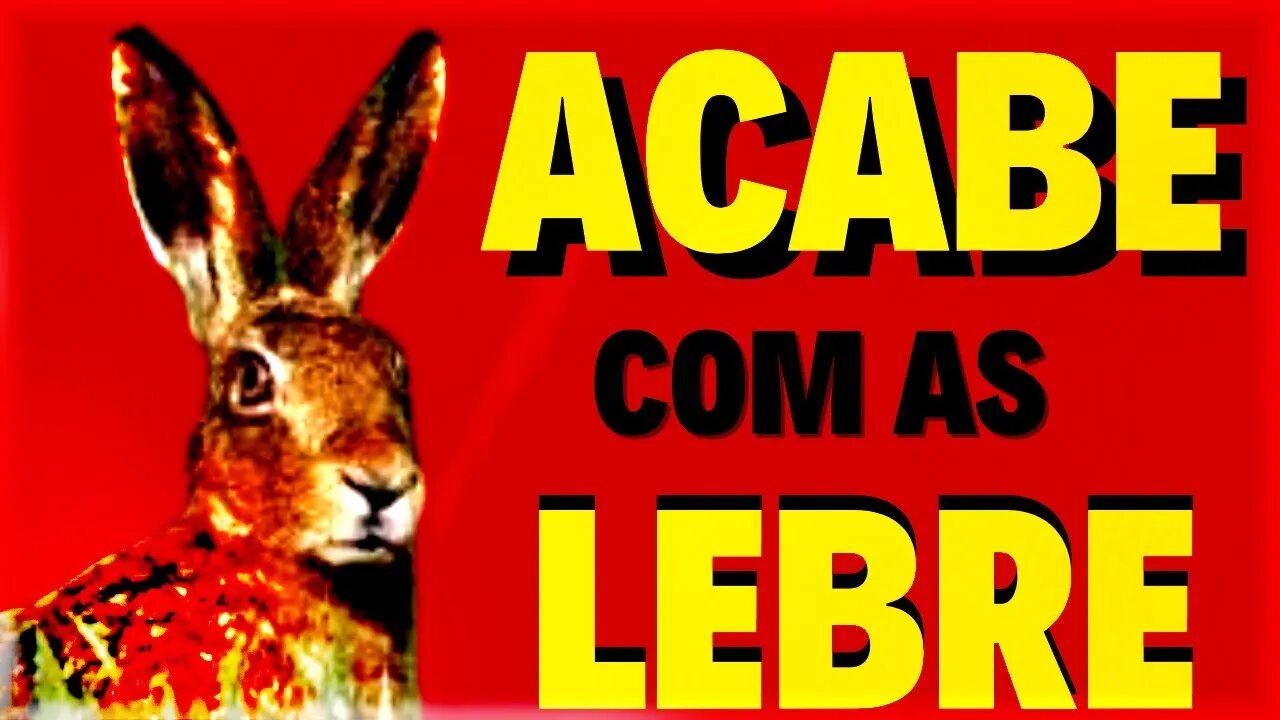 MÉTODO PARA AFASTAR LEBRES NAS PLANTAÇÃO +++ DICAS