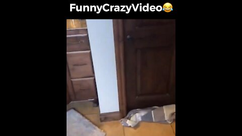 Mr FunnyCrazyVideo😂 Just Incredible Video Funny and Crazy #Like Follow for Follow 🥰