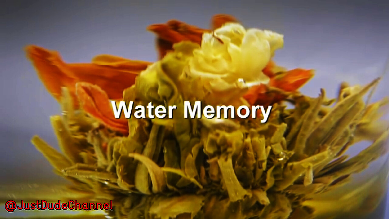 Water Memory