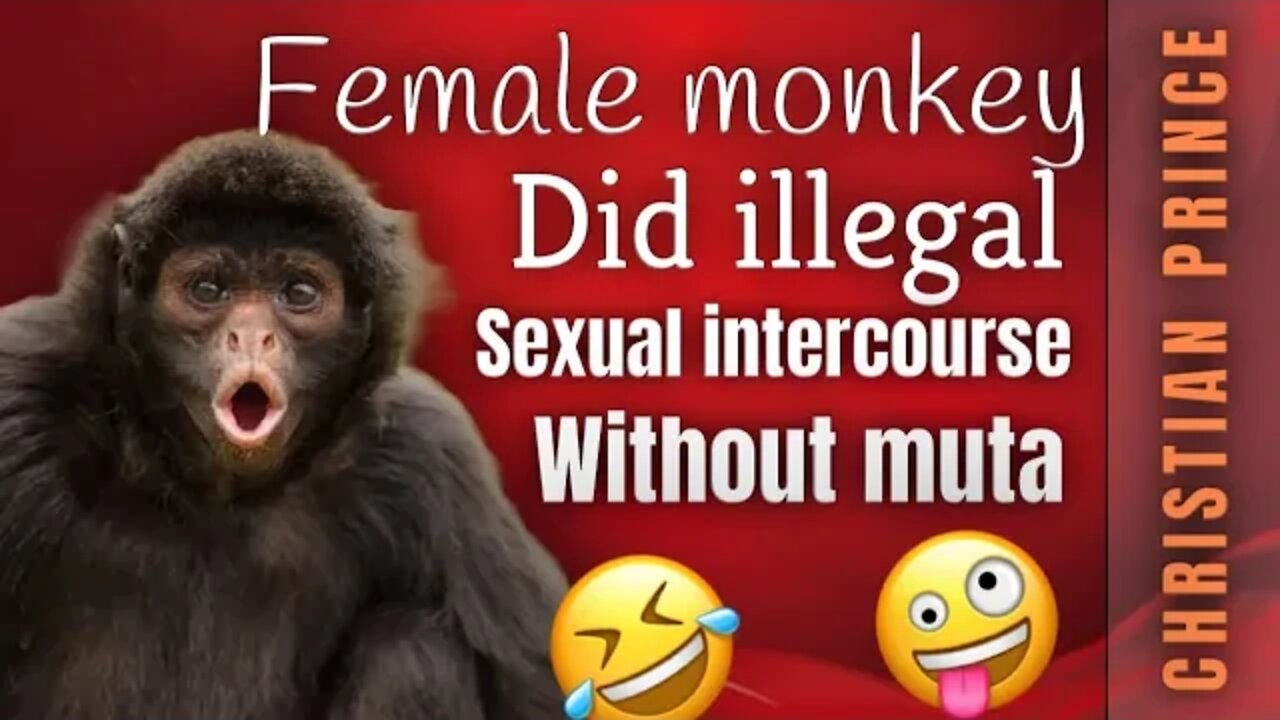 Female monk@y commites ad@lrery - Christian Prince