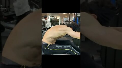 SEATED ROWS FULL STRETCH #shorts #youtubeshorts