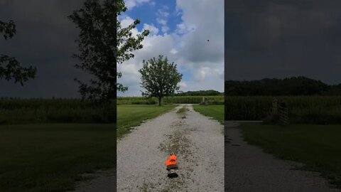 Discus Throw practice for Senior Olympics, Need to get them down the middle