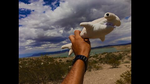 Mother’s Day in elephant butte lake NM