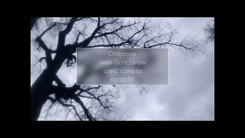 Obłomow - Iwan Gonczarow część IV rozdz.11