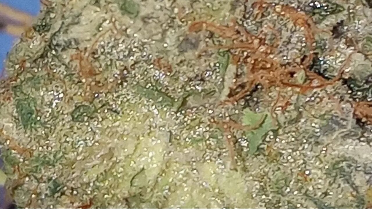 Reclassifying Cannabis As Schedule 3 Substance - Not the Same As Decriminalization & DEA Has Say