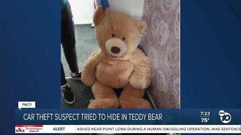 Fact or Fiction: Teen tries to hide from police inside giant teddy bear?