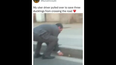 5 star uber driver