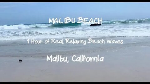 Relaxing Ocean Waves @ Malibu Beach | 1 Calming Hour of Peaceful California Beach Waves with Gulls