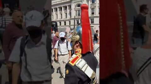 make way for the Queen's life Guard #horseguardsparade