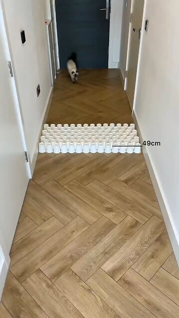 Two ways of doing things.