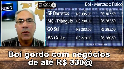 Boi gordo firme tem escalas curtas e negócios de até R$ 330@