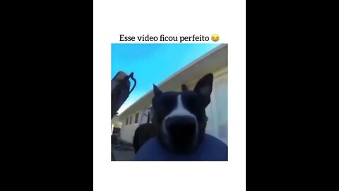 🐶Dog Selfie🐾😂