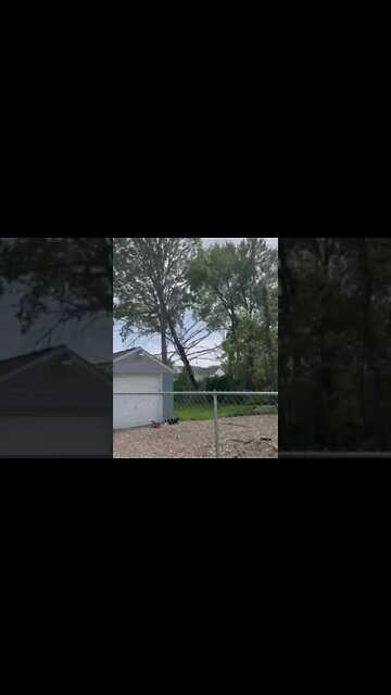 Tree Falls on Garage! #MegaFails #Shorts