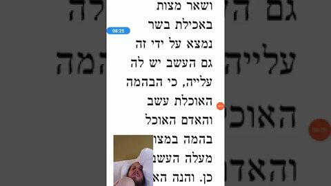 Parshas Balak Kedushas Levi Hasidic Jewish teaching Torah Bible commentary Numbers 22:4