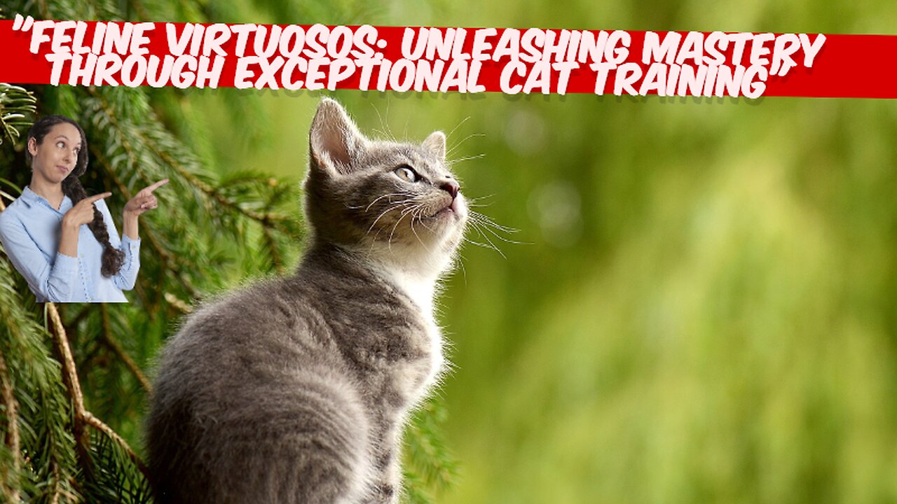 "Feline Virtuosos: Unleashing Mastery Through Exceptional Cat Training"