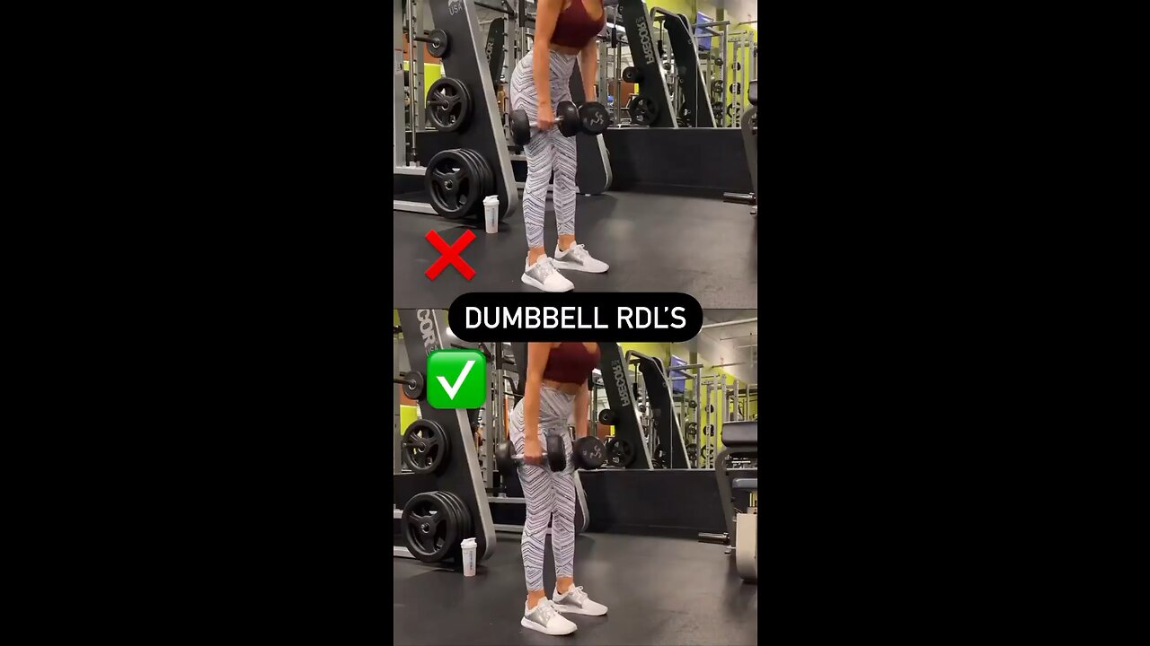 Online Fitness & Nutrition Coaching | Dumbell Rol’s Exercise | Gym | Workout