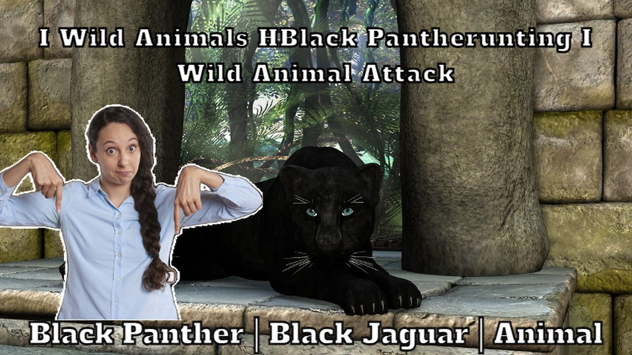 Black Panther | Black Jaguar | Animal 1080p