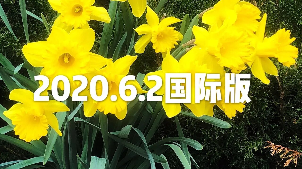 6月02（国际版）最新波爆（开-悟-堂）