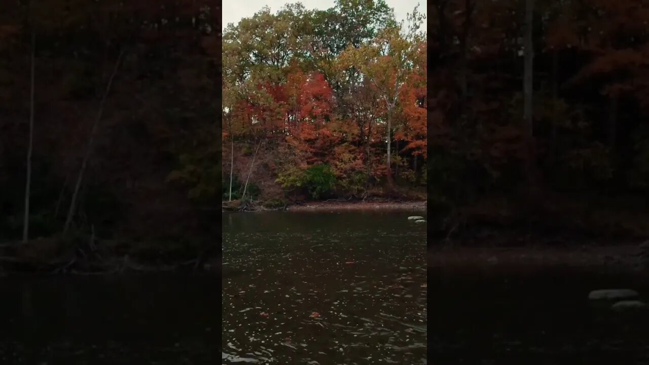 #nature#naturelovers#amazing#naturephotography#autumn#autumncolors#water#waterflowing#calming