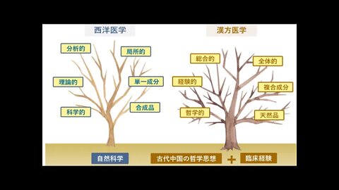 일본 한방의학을 말한다, 조기호, 한의사, 중의사, 침구사, 전통의학자, 메이지유신, 서양의학자, 의료수준, 한의계, 당랑거철, 토야마대학교, 키타사토연구소, 동양의학종합연구소