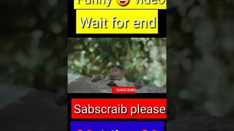 monkey funny 😂😁😁 video || YouTube shorts || #shorts #funny #trending #youtubeshort #youtube