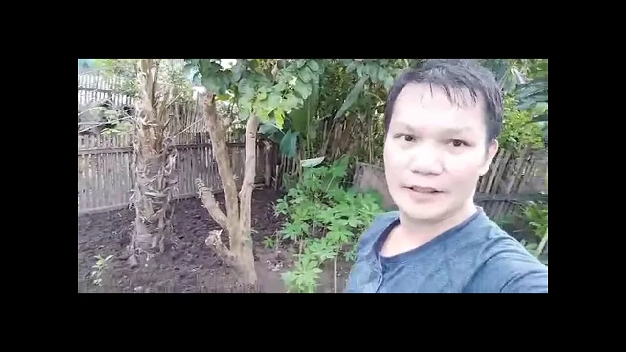 Garden & Clearing.(1)